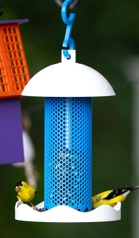 A pair of American Goldfinches working opposite sides of the tray. Electric Blue mesh tube, White dome and dish.